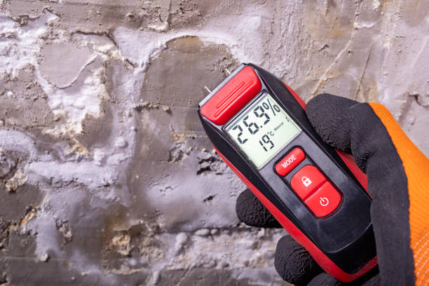 Best Mold Testing  in Atoka, NM