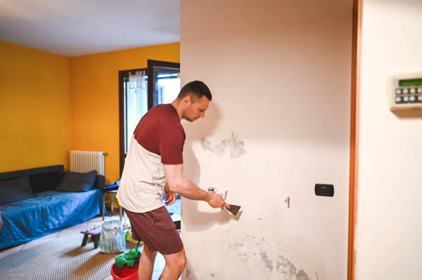 Best Residential Mold Removal  in Atoka, NM
